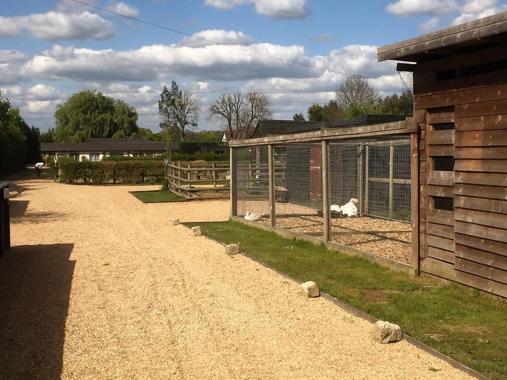 Willow Court Farm Studio West & Petting Farm, 8 Mins To Legoland & Windsor, 15 Mins To Lapland Uk Villa Esterno foto